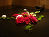 Dsc05312