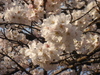 Dsc05797