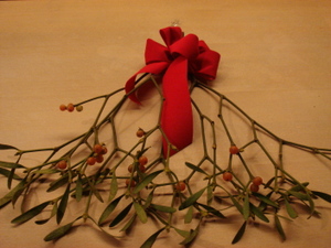 Dsc06106_4